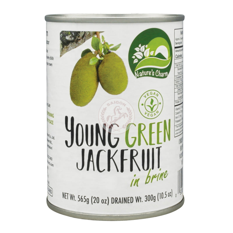 Young Green Jackfruit 24x565g