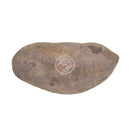 Sötpotatis LILA Färsk (KG)