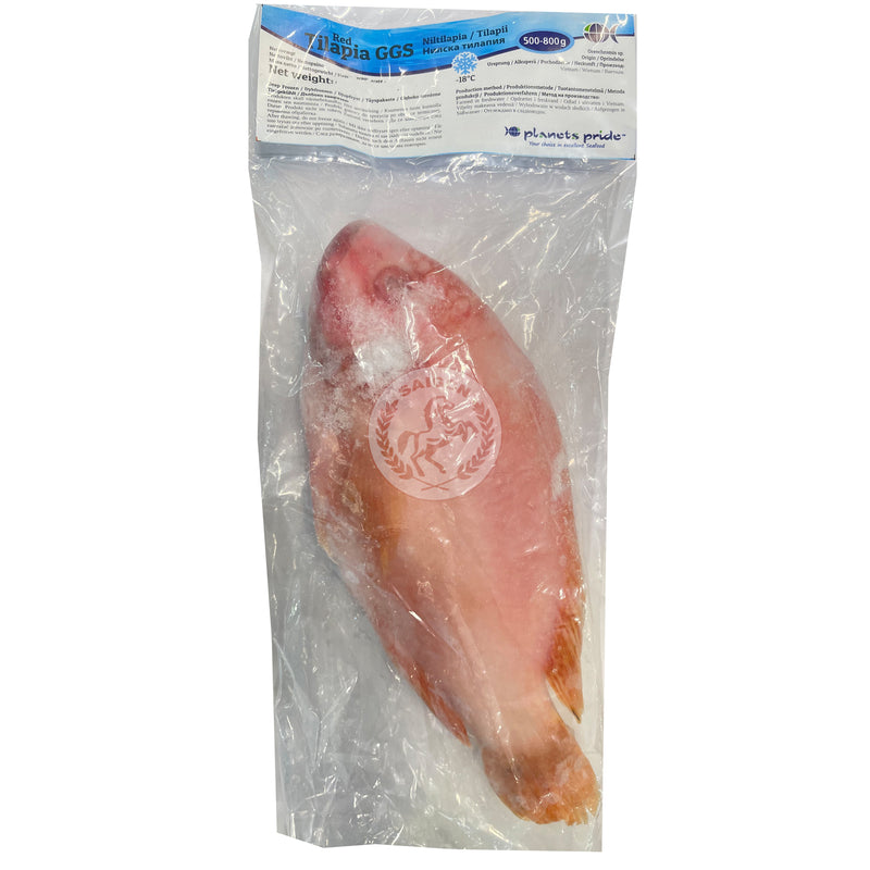 Fisk Tilapia (RÖD) 800+ Frysta 1x10kg