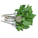 TH Söt basilika Färsk (Kyld)  100g