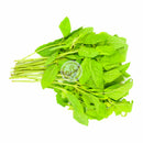 TH Kaprao Färsk (Kyld)  100g