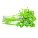 TH Selleri Färsk (Kyld)  100g