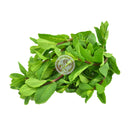 TH Mynta Färsk (Kyld)  80g