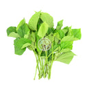 TH Cha plu blad Färsk (Kyld) 100g