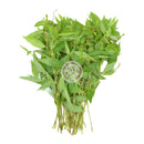 TH Pak Praew / Rau ram Färsk (Kyld) 100g