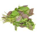 TH Perilla blad Färsk (Kyld) 100g