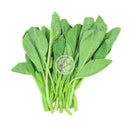 TH Kinesisk Kale Färsk (Kyld)  250g