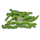 TH Gröna peppar Färsk (Kyld)  100g