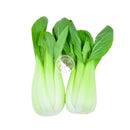 Pak Choi Färska