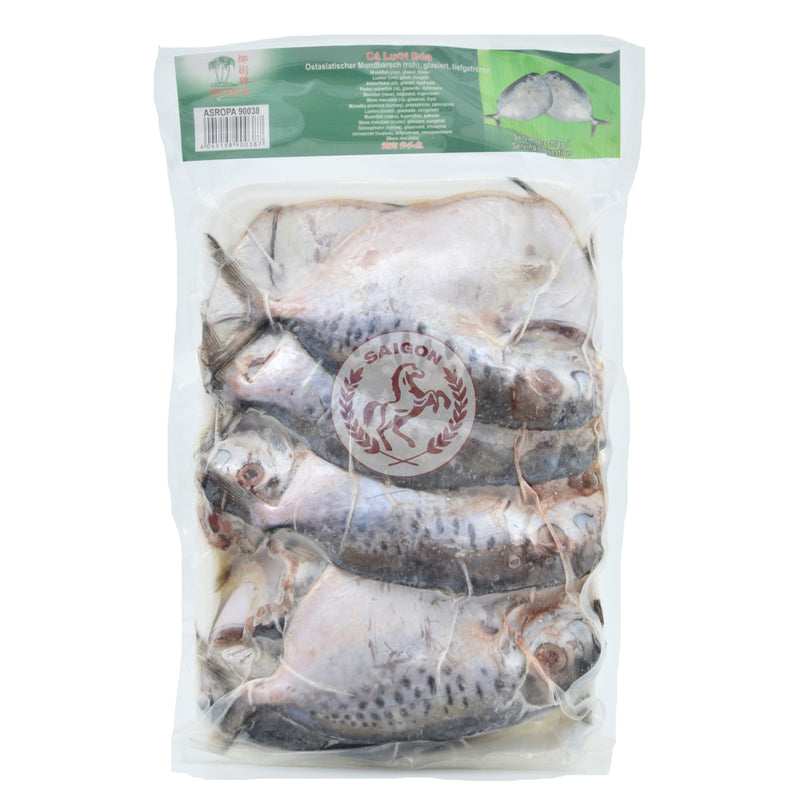 Fisk Moon Fish Frysta10x1kg